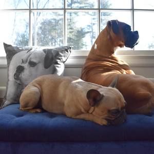 Meet your Posher, Liz